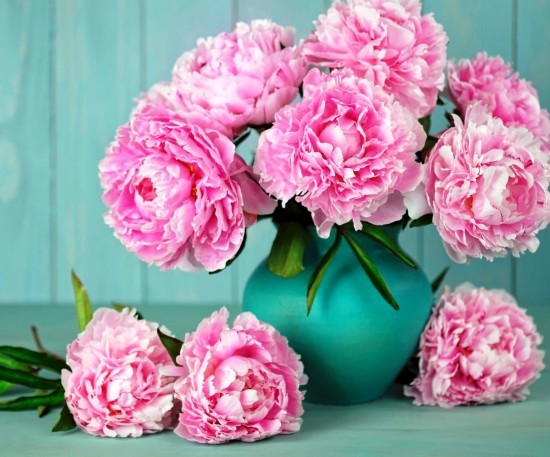 Ideen und Geschenke zur diamantenen Hochzeit pfingstrosen rosa schön vase strauß