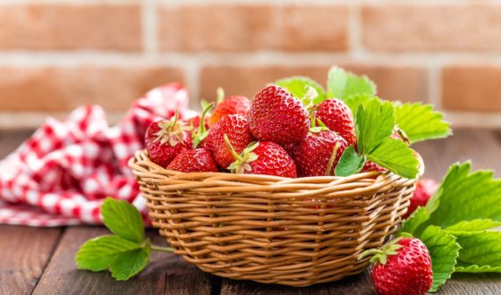 Top Tipps zum Erdbeeren selber pflücken