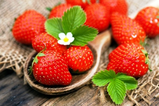 Top Tipps zum Erdbeeren selber pflücken reife rote beeren jute retro