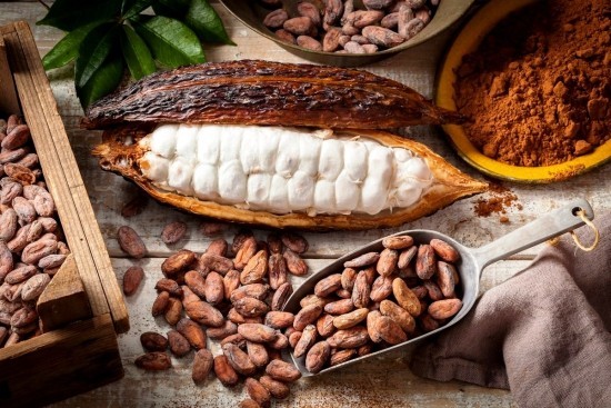 Wirkung und Anwendung von Kakaonibs, das neue Superfood kakao bohne und nibs