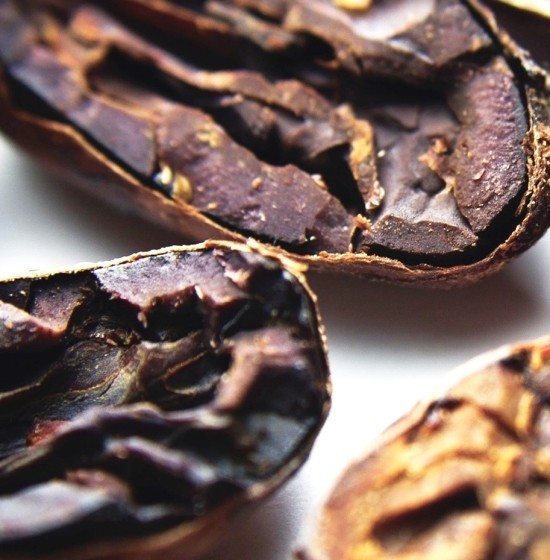 Wirkung und Anwendung von Kakaonibs, das neue Superfood nibs macro foto bohnen