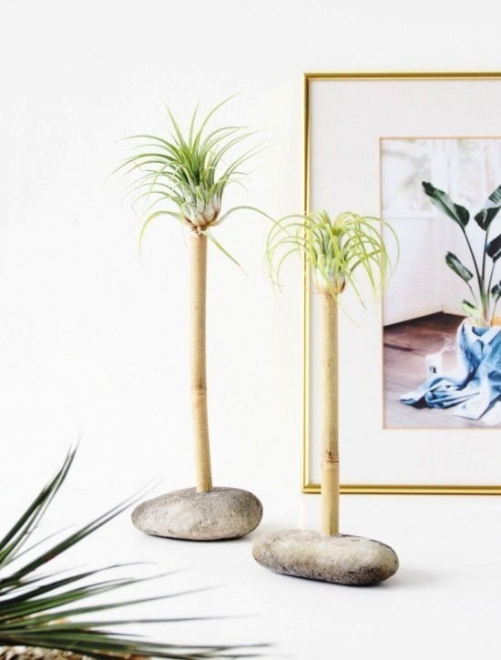 70 sommerliche und kinderleichte Ideen zum Palme Basteln luftpflanzen behälter wie palmen