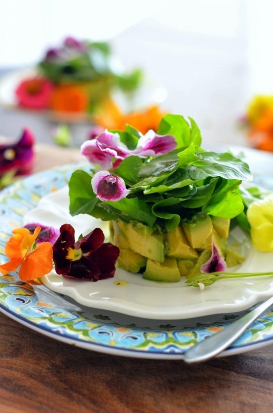 Brunnenkresse ist das Superfood, das Sie häufiger essen sollten avocado salat mit kresse und blüten