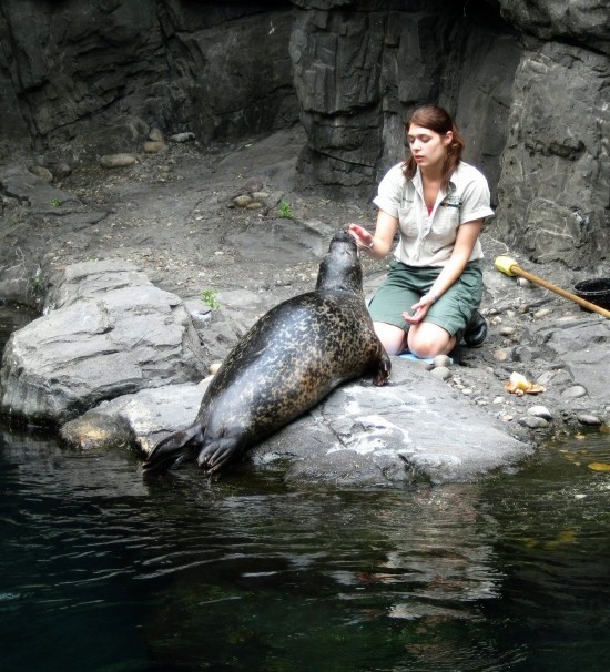 25 amüsante Ideen für ein schönes Wochenende zoo besuchen und fütterungen zusehen