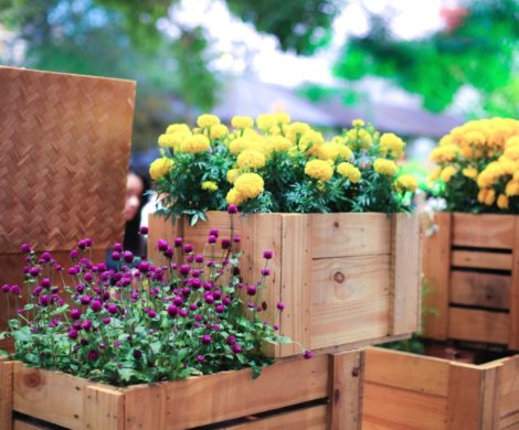 70 DIY Blumenkästen für Balkon und Fenster