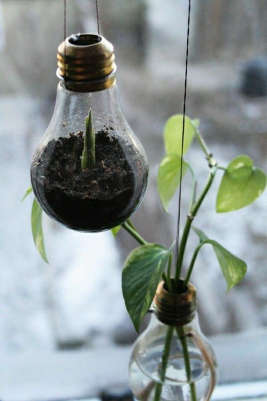 kreative bastelideen deko glühbirne zimmerpflanzen
