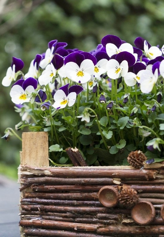 70 DIY Blumenkästen für Balkon und Fenster deko mit zweigen holz box