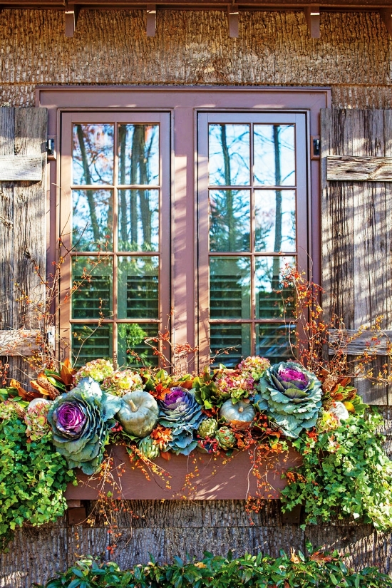 Fensterdeko im Herbst selber gestalten - Ideen und Tipps blumenkasten mit kohl und salat