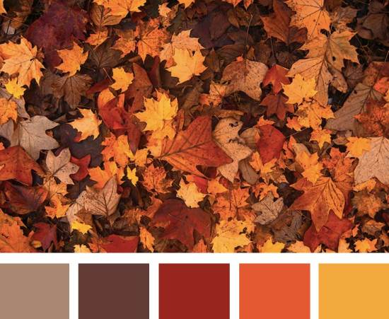 Fensterdeko im Herbst selber gestalten - Ideen und Tipps laub farben typisch herbst