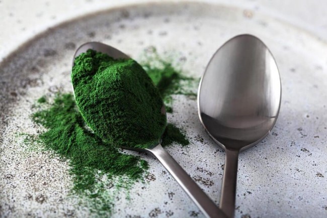 So gesund sind Spirulina Algen für den Körper wunderalte superfood in pulver form
