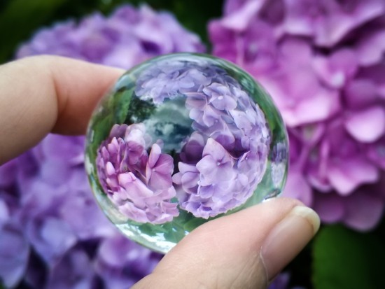 Geheimnisse der Glaskugel Fotografie – Tipps und Ideen hortensien lila in glaskugel