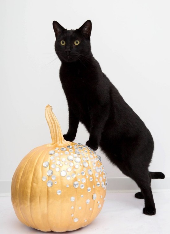 Halloween Kürbis bemalen – 140 künstlerische Ideen und Anleitungen schwarze katze süß und gold kürbis