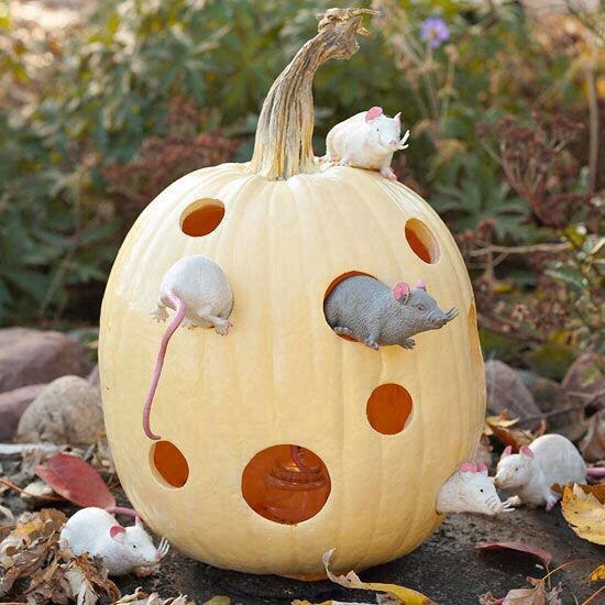 Halloween Kürbis schnitzen – 70 Ideen und Tipps kürbis mit käse optik mäuse