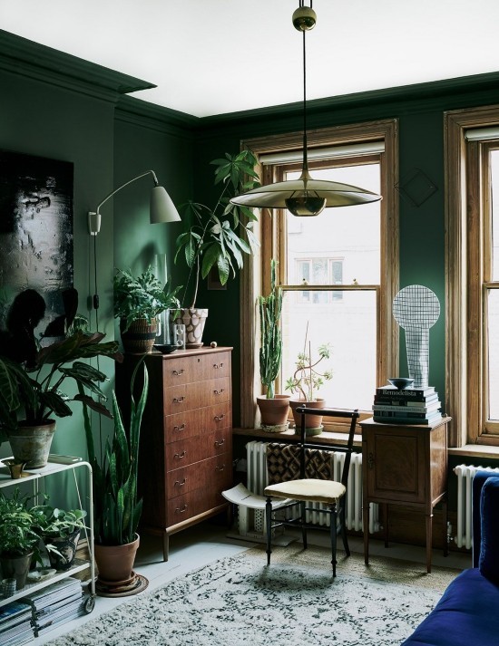 Ist die Wandfarbe Dunkelgrün richtig für Sie Design-Tipps und Ideen dunkelgrüne wände mit zimmerpflanzen deko