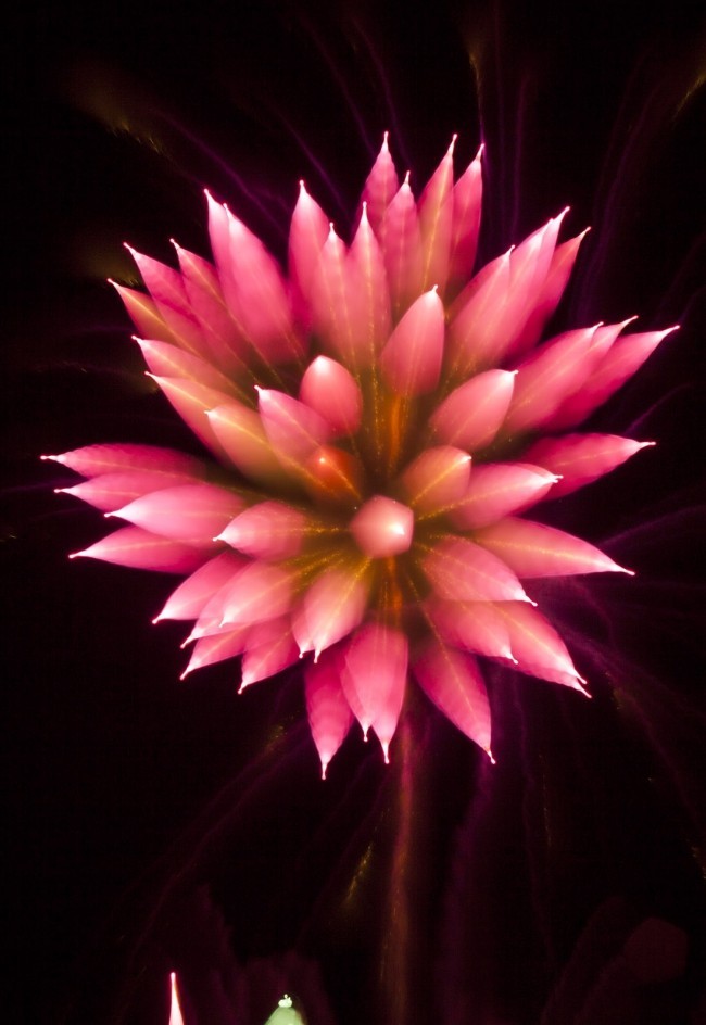 Feuerwerk fotografieren – So schnappen Sie die besten Silvesterfotos feuerwerk wie lotus blume toll kreativ