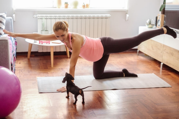 Beckenboden Übungen für Zuhause – Die besten Übungen für Damen frau und hund trainieren