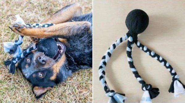 Einfaches Hundespielzeug selber machen, das Bello lieben wird ball und tshirt oktopus