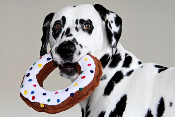 Einfaches Hundespielzeug selber machen, das Bello lieben wird donut selber nähen filz