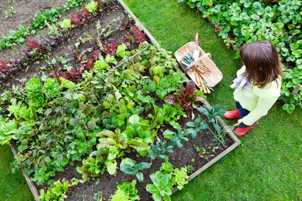 Gartenplanung Tipps Wie erstelle ich einen Garten