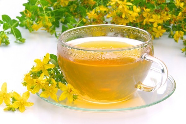 Johanniskraut Tee und seine unglaublichen Wirkungen tee von heilkraut johanniskraut