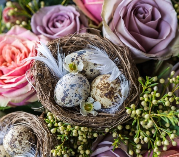 Osterdeko basteln aus Naturmaterialien nest diy rosen blumen eier