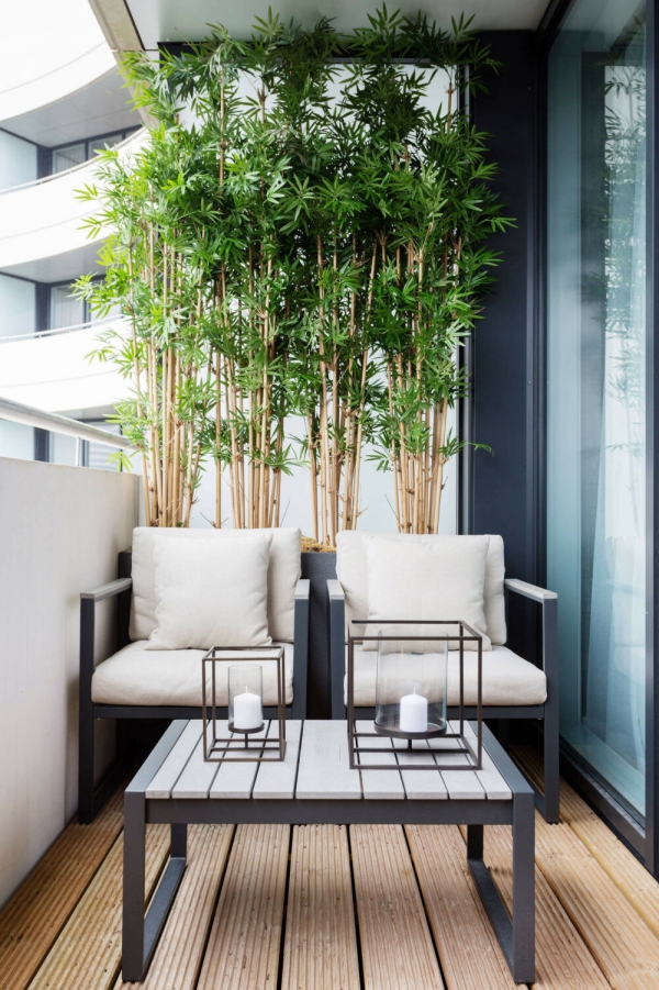 Terrassen Deko Ideen für große und kleine Außenbereiche bambus sichtschutz ideen