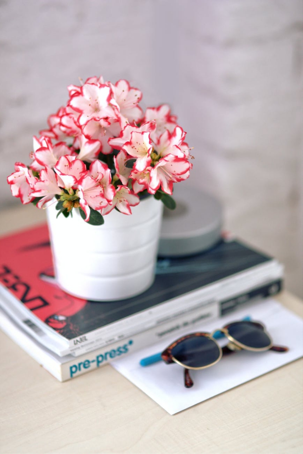 Azalee Pflege und Wissenswertes über den populären Rhododendron deko fürs büro und zuhause