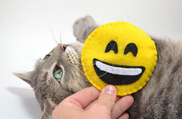 Einfaches Katzenspielzeug selber machen, das Mieze lieben wird emoji tasche katzenminze