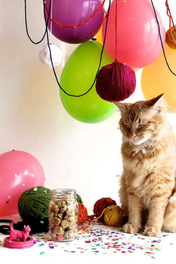 Einfaches Katzenspielzeug selber machen, das Mieze lieben wird katzen party zum geburtstag