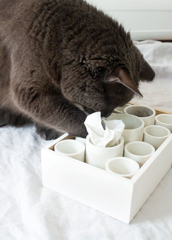 Einfaches Katzenspielzeug selber machen, das Mieze lieben wird pvc röhre puzzle rätsel leckerlis