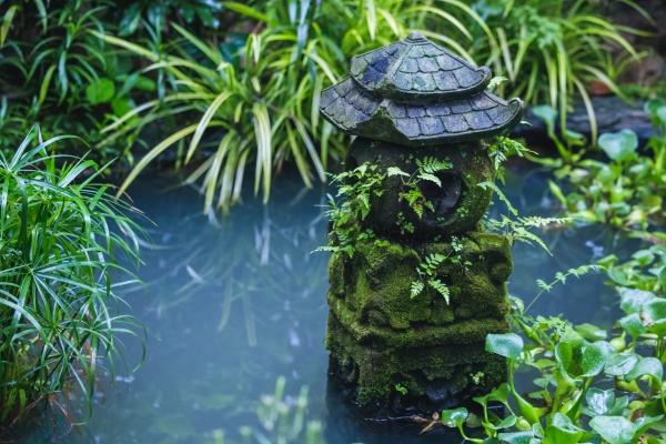 Moderne Gartenteich Ideen und Tipps für Ihren Traumgarten japan teich traditionell hübsch