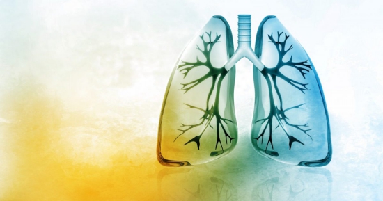 lungenfunktion verbessern gesund leben