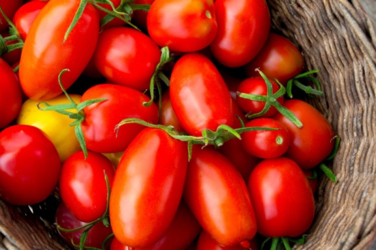 tomaten gesund lungenfunktion verbessern
