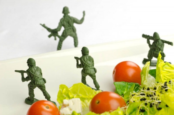 Militär Diät – Verliert man wirklich 5 kg in einer Woche grüne spielzeug soldaten im salat