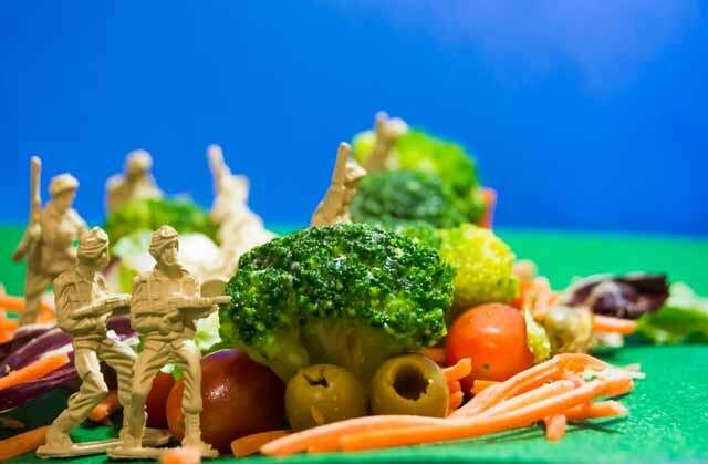 Militär Diät – Verliert man wirklich 5 kg in einer Woche soldaten spielzeuge im teller