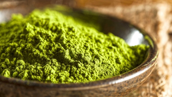 Traditionelle Matcha Tee Zubereitung – Tipps für die perfekte Tasse Grüntee matcha pulver bio gesund