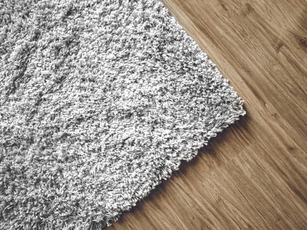 5 Tipps für ein hygienisches und gesundes Raumklima milben und flöhe im teppich