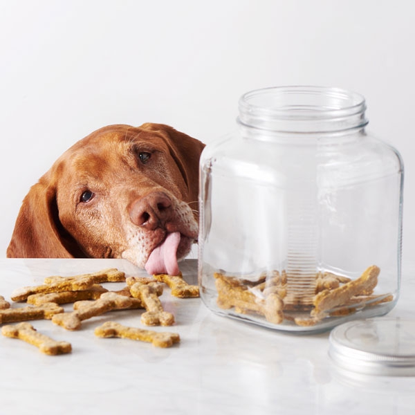 Gesunde Hundekekse zum Erziehen und Belohnen kekse mit apfel und kürbis