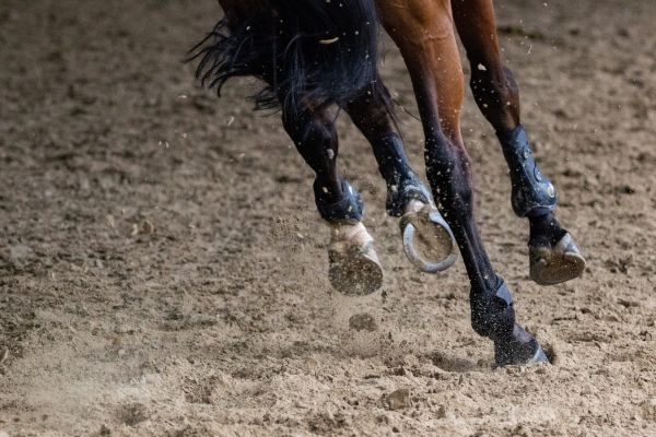 Glücksbringende Hufeisen Deko Ideen zum Selbermachen pferd mit neuen hufeisen sport