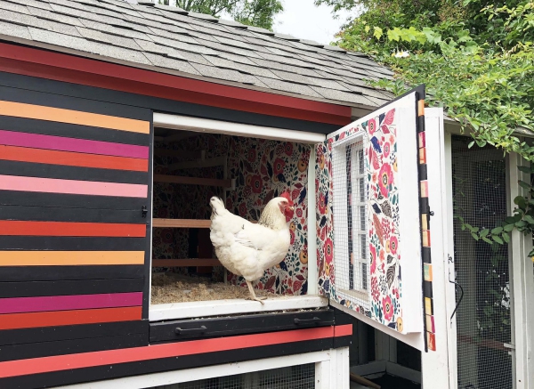 Hühnerstall einrichten – Ideen und Tipps für glückliche Hühner bunter stall mit floralen muster drinnen
