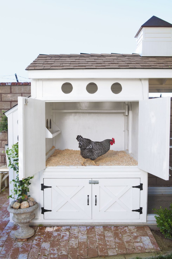 Hühnerstall einrichten – Ideen und Tipps für glückliche Hühner einen alten schrank upcyclen regale