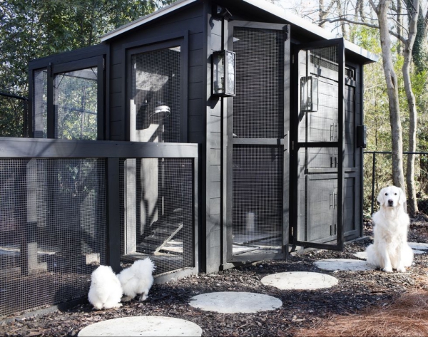 Hühnerstall einrichten – Ideen und Tipps für glückliche Hühner schwarzer stall weiße hühner weißer hund