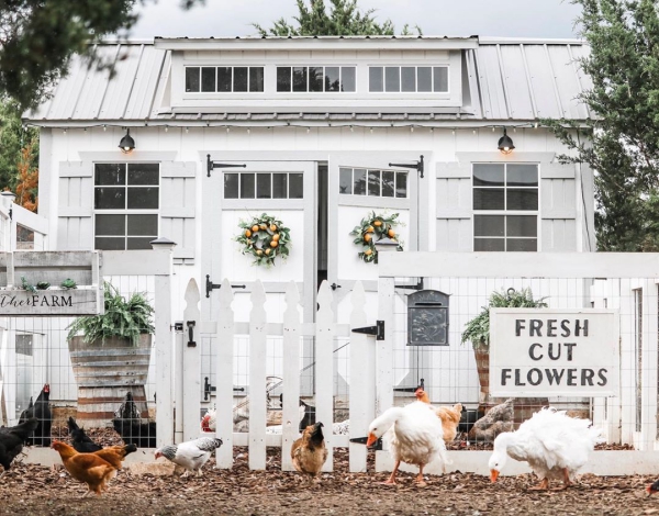 Hühnerstall einrichten – Ideen und Tipps für glückliche Hühner sommer deko kränze vogel haus