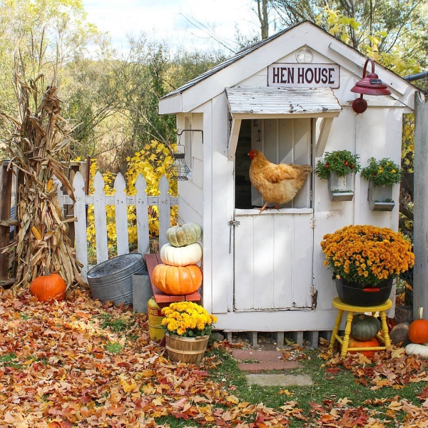 Hühnerstall einrichten – Ideen und Tipps für glückliche Hühner vogelhaus stall herbst halloween deko