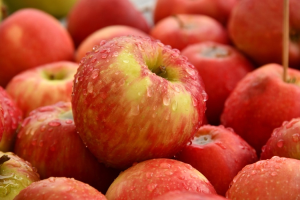 Leckere und natürliche Appetitzügler zur Unterstützung Ihrer Diät rote äpfel gesund abnehmen