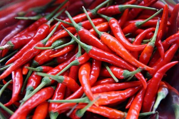 Leckere und natürliche Appetitzügler zur Unterstützung Ihrer Diät scharfe chilis paprika gesund