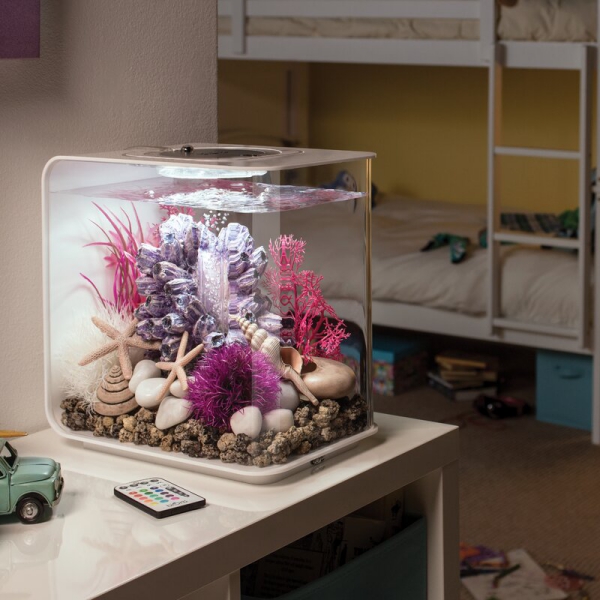 Nano Aquarium einrichten – Ideen und Tipps für den kleinen Fischtank kinderzimmer jugendzimmer studentenzimmer deko