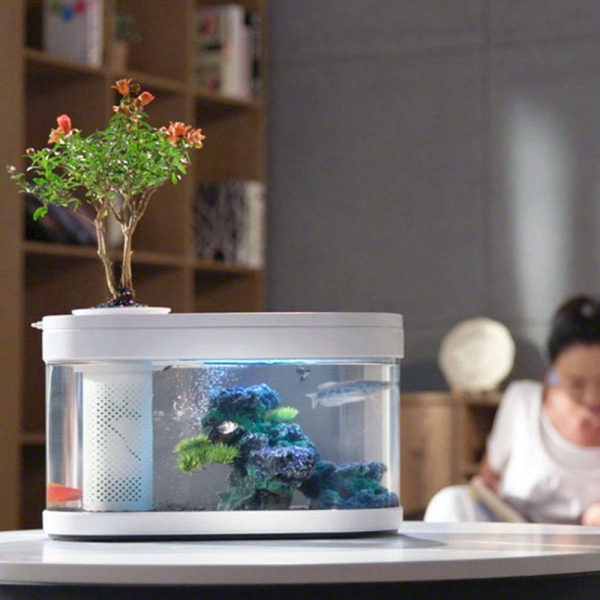 Nano Aquarium einrichten – Ideen und Tipps für den kleinen Fischtank wohnzimmer deko set blaue aquariumdeko