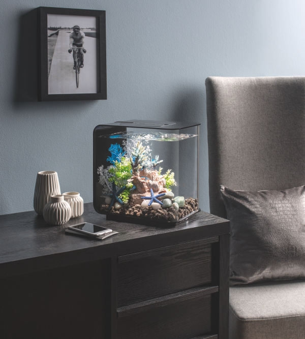 Nano Aquarium einrichten – Ideen und Tipps für den kleinen Fischtank wohnzimmer deko stilvoll modern
