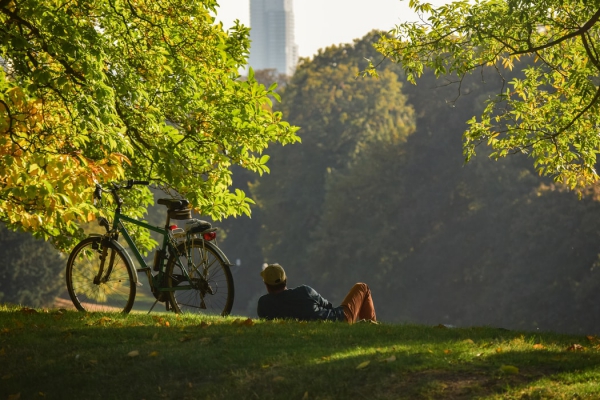 Trekking-Fahrrad – Vor- und Nachteile des populären Alleskönners begleiter im park fahrrad